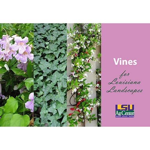 LSU AgCenter Store Vines for Louisiana Landscapes