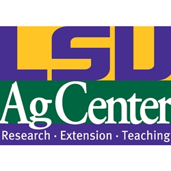 Ag Leaders of Louisiana Alumni Association