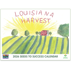 2026 Seeds to Success Calendar