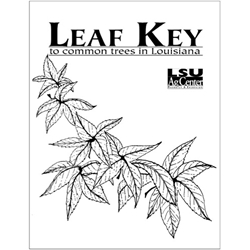Leaf Key to Common Trees in Louisiana