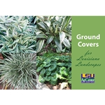 Ground Covers for Louisiana Landscapes