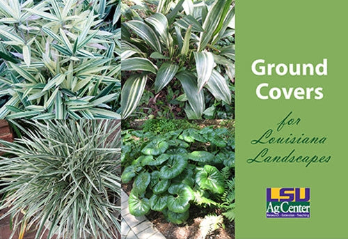 Ground Covers for Louisiana Landscapes. LSU AgCenter. Research, Extension, Teaching