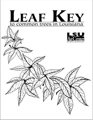 Leaf key guide for common trees in Louisiana with LSU AgCenter logo.