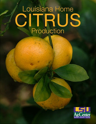 Louisiana Home Citrus Production. LSU AgCenter. Research, Extension, Teaching
