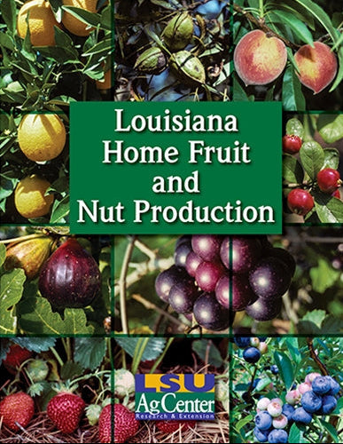 Louisiana Home Fruit and Nut Production. LSU AgCenter. Research, Extension, Teaching