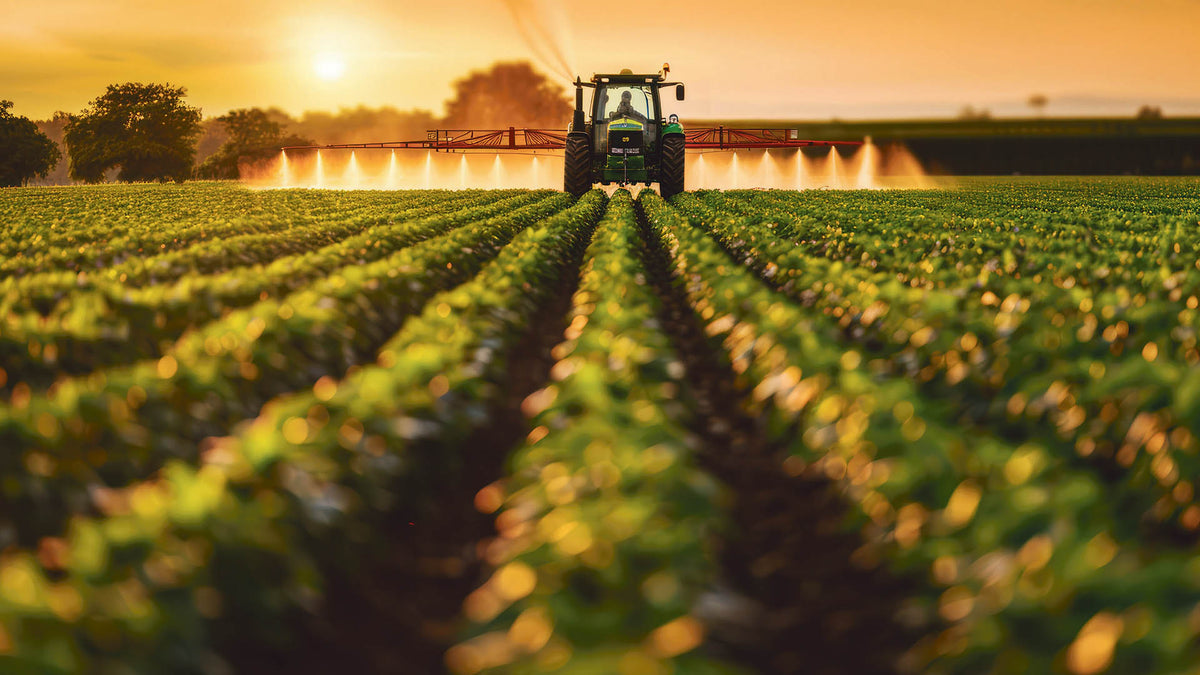 A green tractor spraying a large agricultural field during golden hour, with rows of crops stretching toward the machine under a warm orange sky.